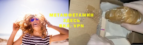 индика Гатчина