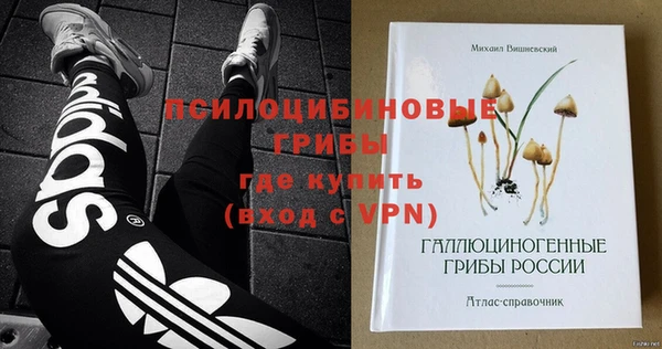 мдпв Пересвет